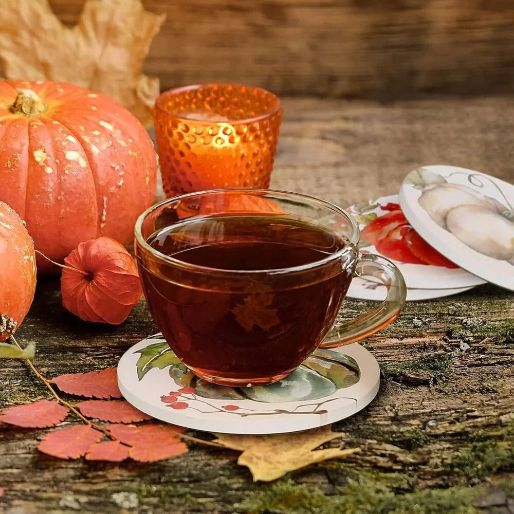 Fall Pumpkin Coaster Autumn Round Drink Coasters Absorbent Natural Ceramic Coast